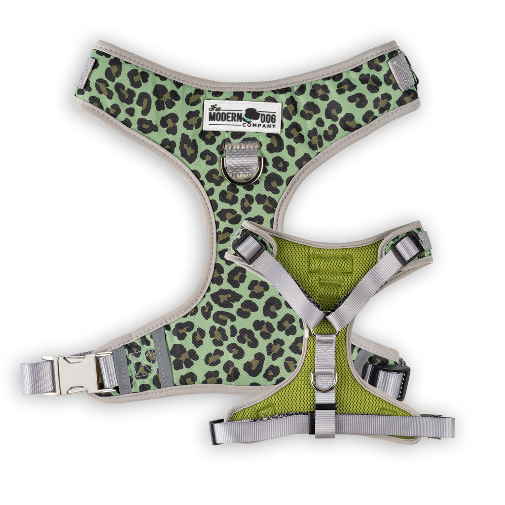 Walk on the Wild Side Dog Harness – Adjustable Leopard Print