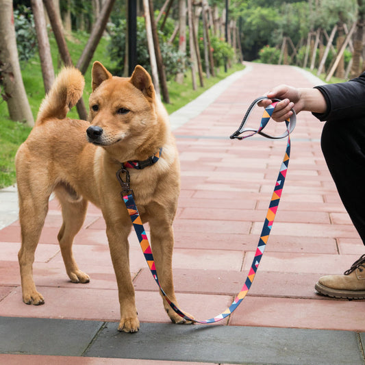 Pet supplies dog leash strong grip