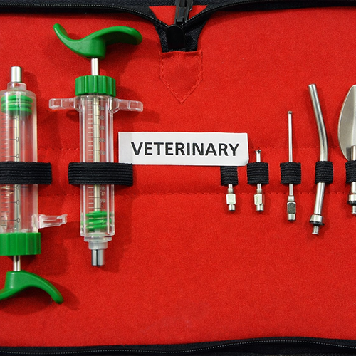 Buy Bird Feeding Kit