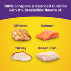 Cat food Product packaging with chicken, salmon, turkey, and ocean fish on a yellow background with text about nutrition.