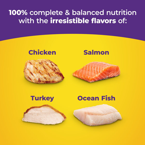 Cat food Product packaging with chicken, salmon, turkey, and ocean fish on a yellow background with text about nutrition.
