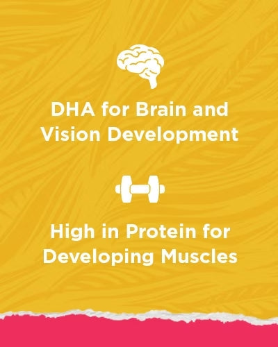Yellow background with text about DHA for brain and vision development, for cat food