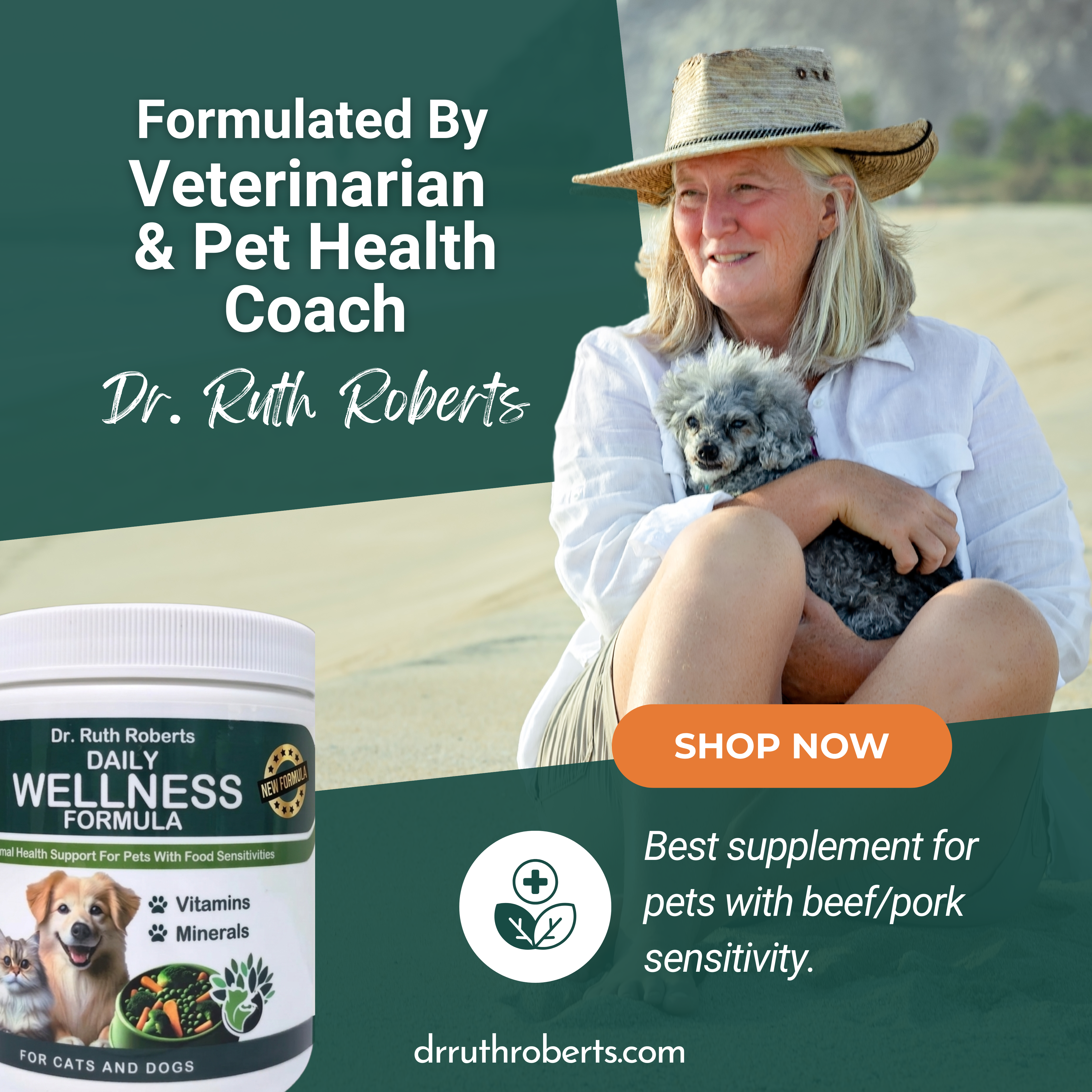 Veterinarian and Pet Health