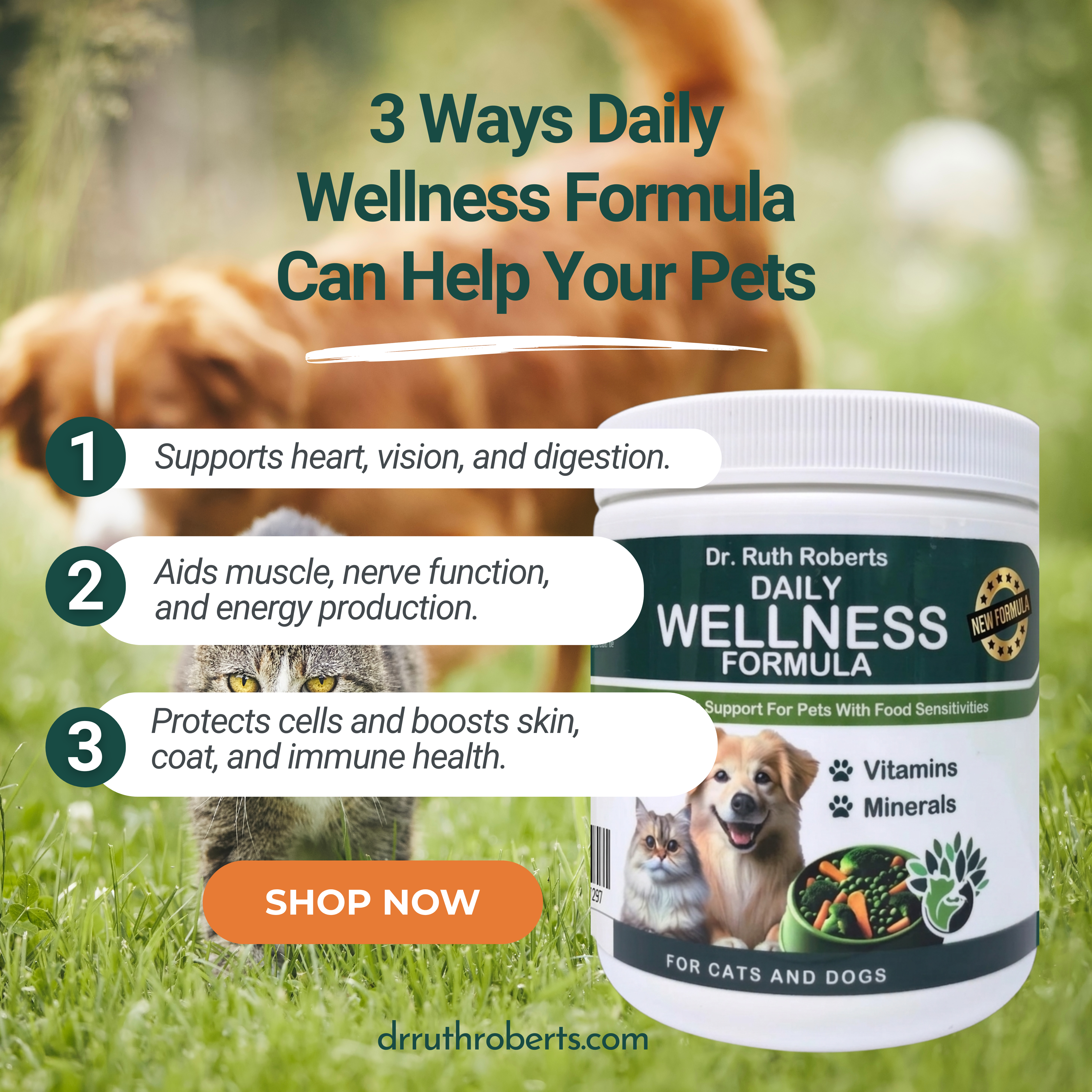 Pets Daily Wellness Formula 