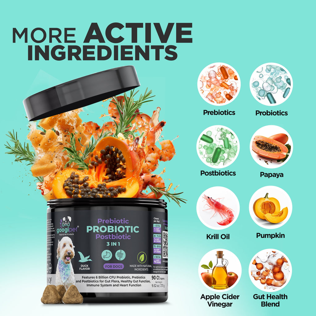 Dog food container with ingredients and health benefits on a teal background