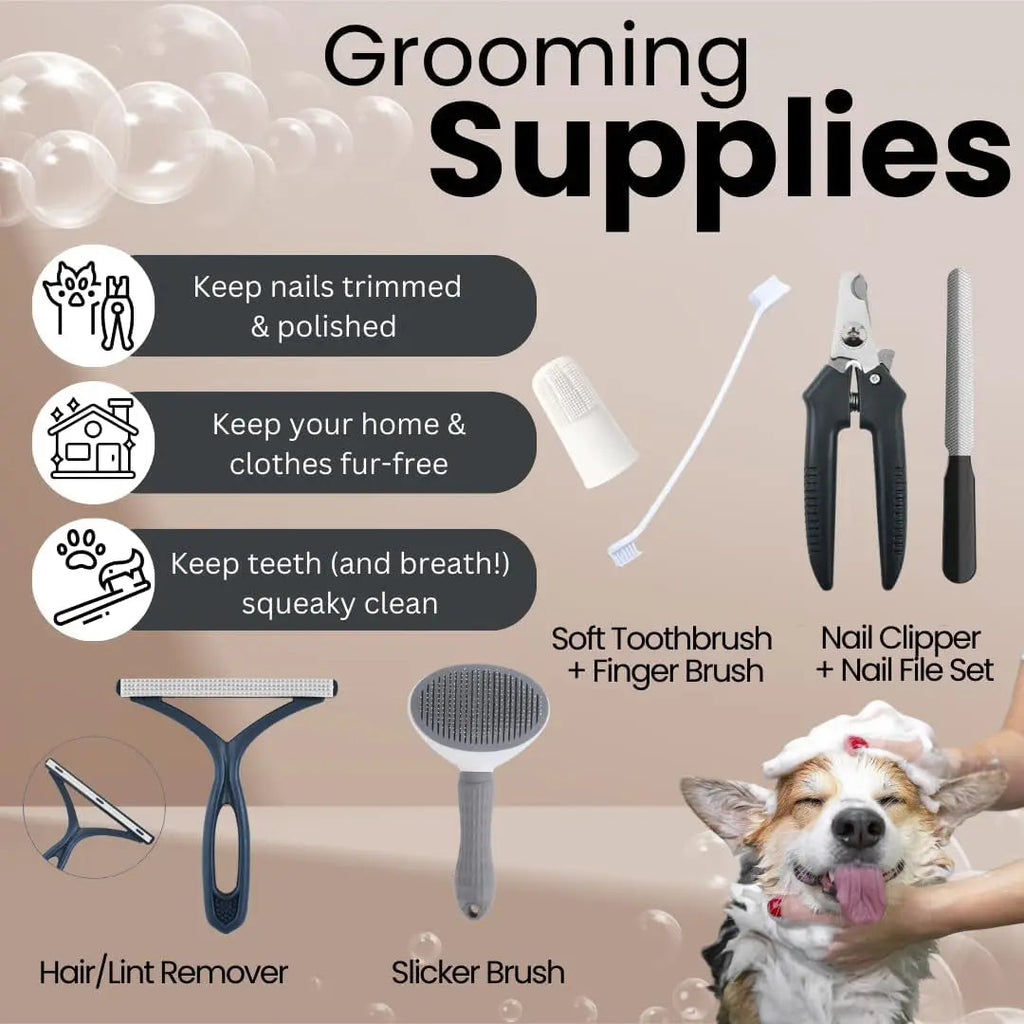 Dog grooming supplies with tools and a dog being groomed, set against a beige background.