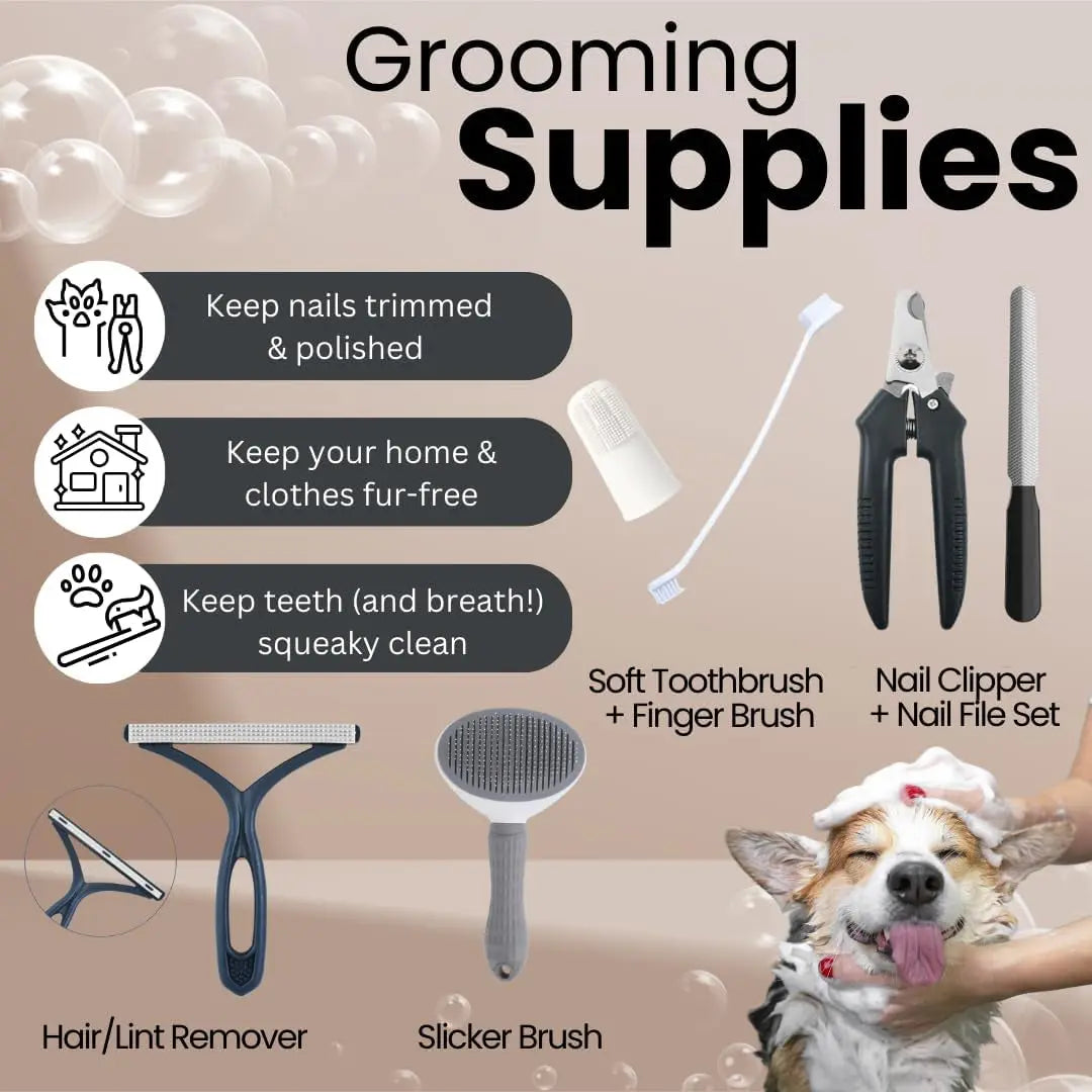 Dog grooming supplies with tools and a dog being groomed, set against a beige background.