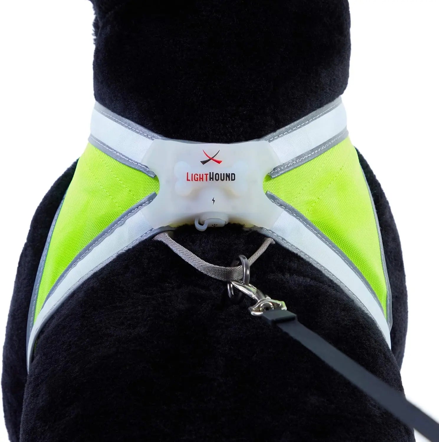 Dog harness with visible brand logo on a white background