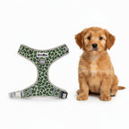 Dog harness with green leopard print design on a white background