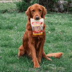 Dog holding a bag of Farm Topper chicken chow in a grassy field
