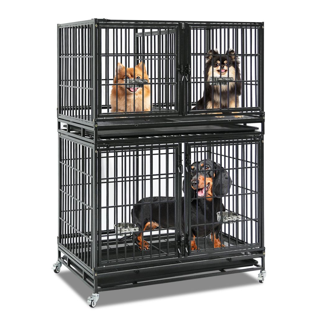 Explore Dog kennel for breeders