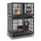 Explore Dog kennel for breeders
