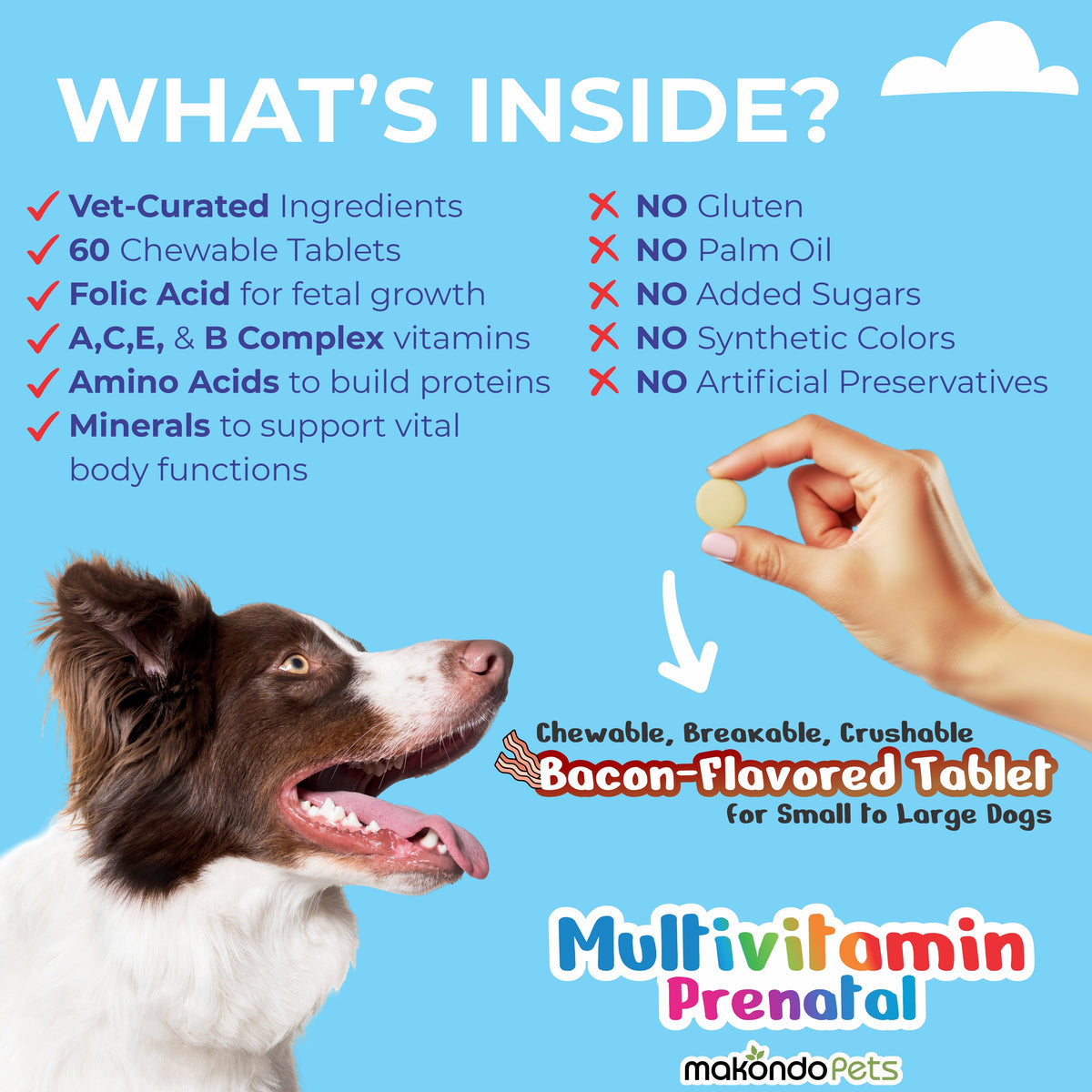 Dog multivitamin product with a hand holding a tablet, dog looking at it, and text detailing ingredients and benefits on a blue background.