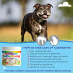 Dog standing outdoors with a multivitamin supplement container and text on how to care for senior pets.