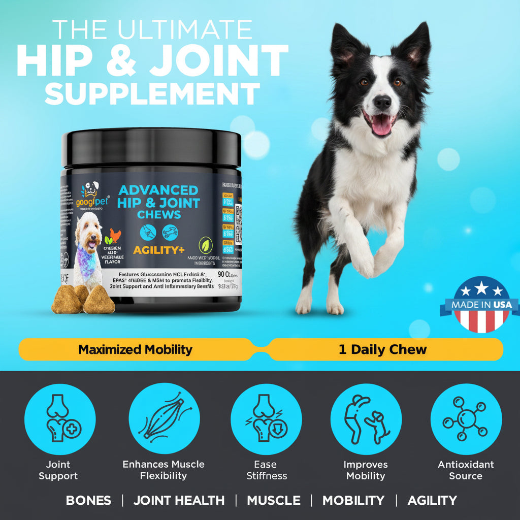 Dog supplement product with a happy dog on a blue background