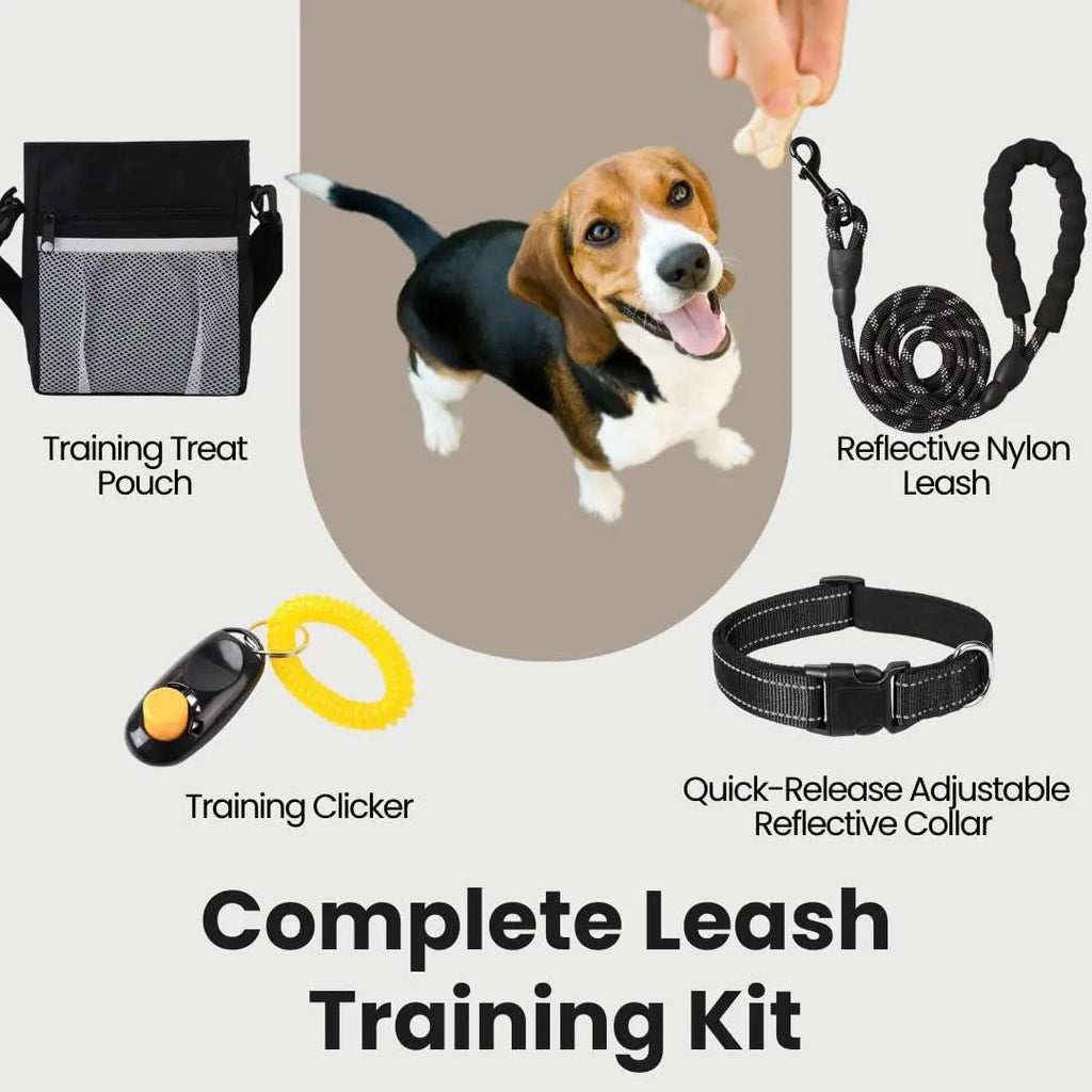 Dog training kit with items labeled including a training treat pouch, reflective nylon leash, training clicker, and quick-release adjustable reflective collar.