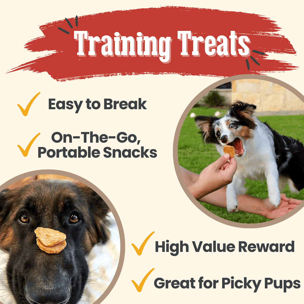 Dog training treats with a dog eating a treat, another dog with a treat