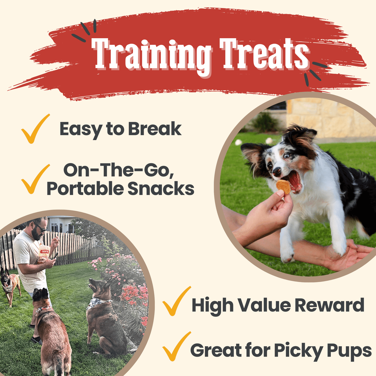 Dog training treats advertisement with a dog eating a trea