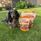 Dog sitting on grass with Farm to Pet Chicken Chips packages in front
