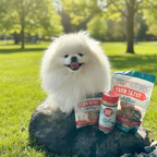 White dog sitting on a rock by a body of water with 'Farm to Pet' pet food products nearby.