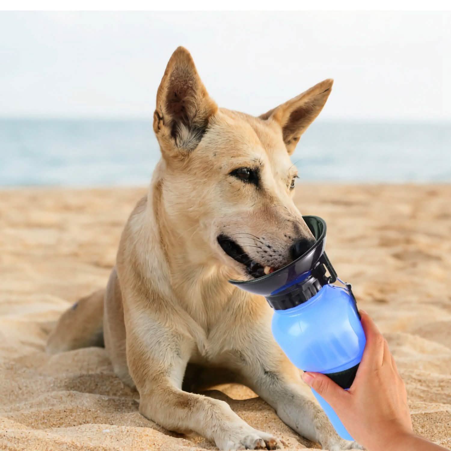 Hiking dog water bottle for Sale