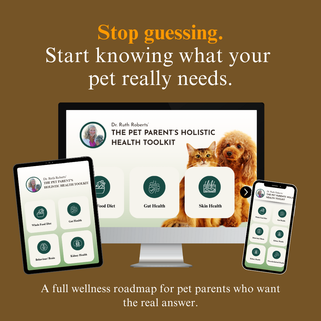 Holistic Health Toolkit