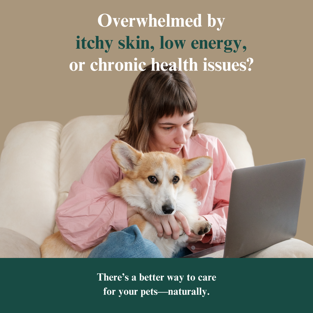 Holistic Health Toolkit for Pet Parents for Sale