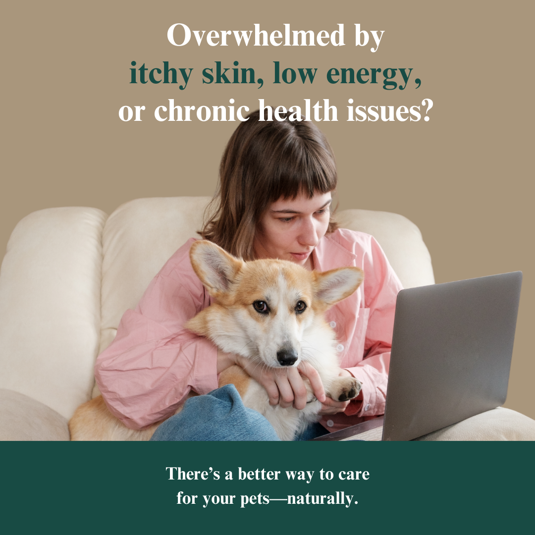 Holistic Health Toolkit for Pet Parents for Sale