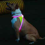 LED Light-Up Dog Harness – USB Rechargeable Reflective Adjustable Safety Vest