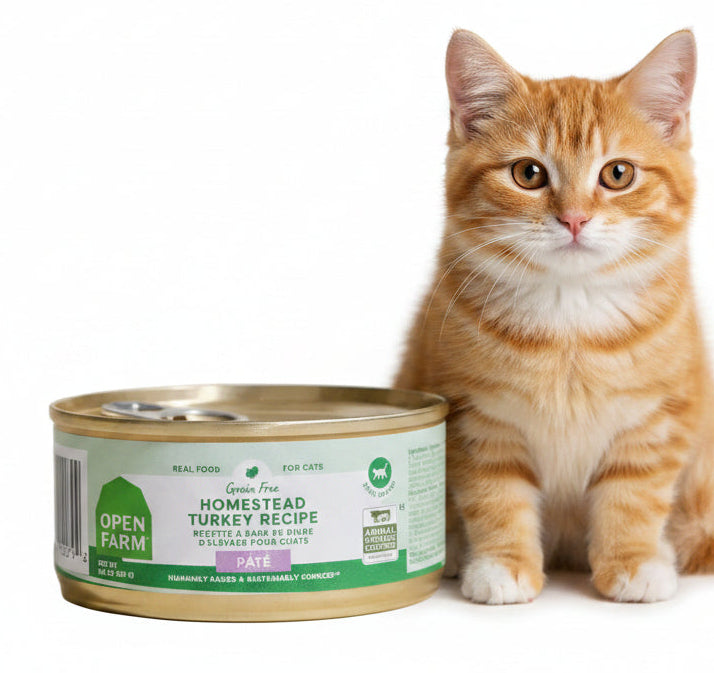 Can of Open Farm Homestead Turkey Recipe cat food