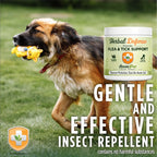 Dog running on grass with Herbal Defense flea and tick support product, featuring Adore Pet brand.
