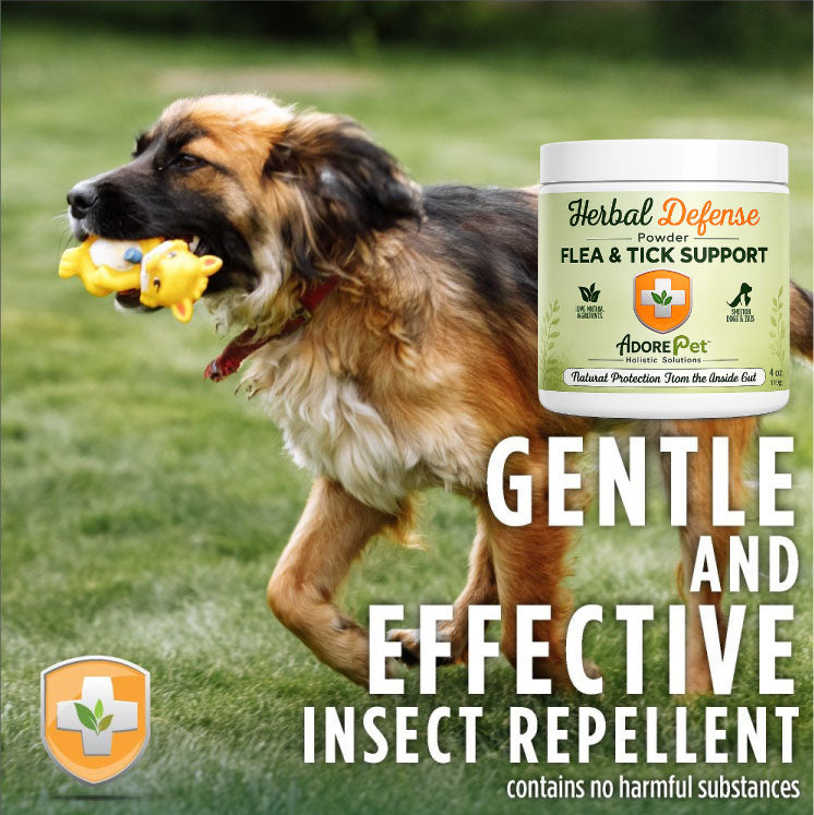 Dog running on grass with Herbal Defense flea and tick support product, featuring Adore Pet brand.