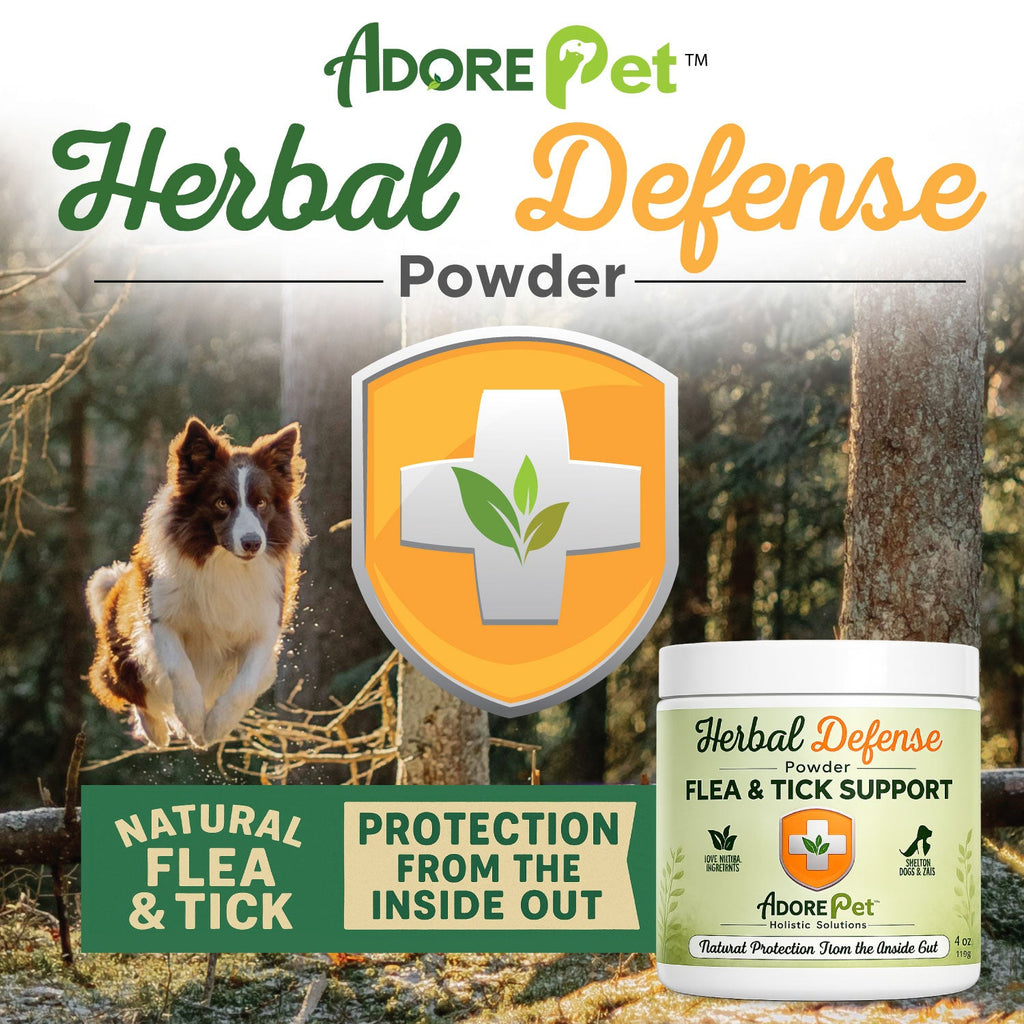 Pet Herbal Defense Powder packaging with a dog in a forest setting