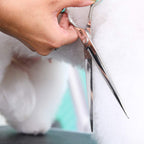 Pet Grooming Scissor 