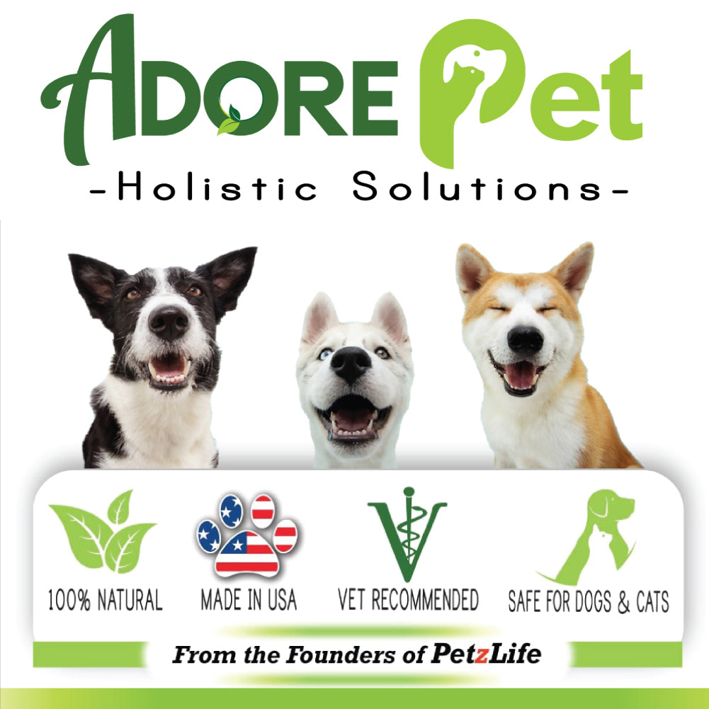 Pet Holistic Solutions 