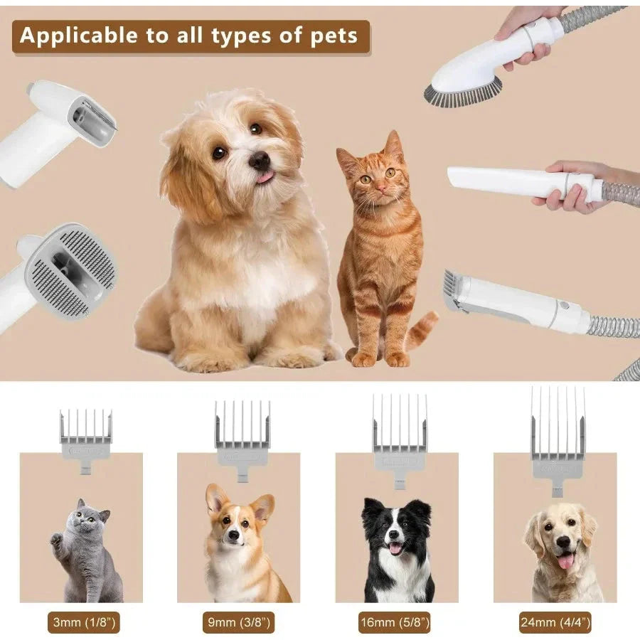 Pet grooming tools with dogs, cats, and different brush sizes on a beige background