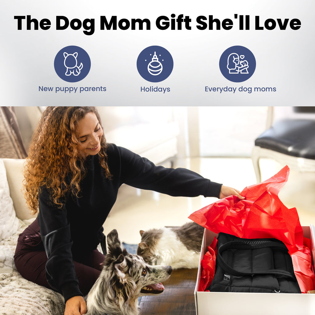 Explore Pet travel accessories