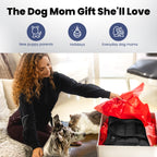 Explore Pet travel accessories