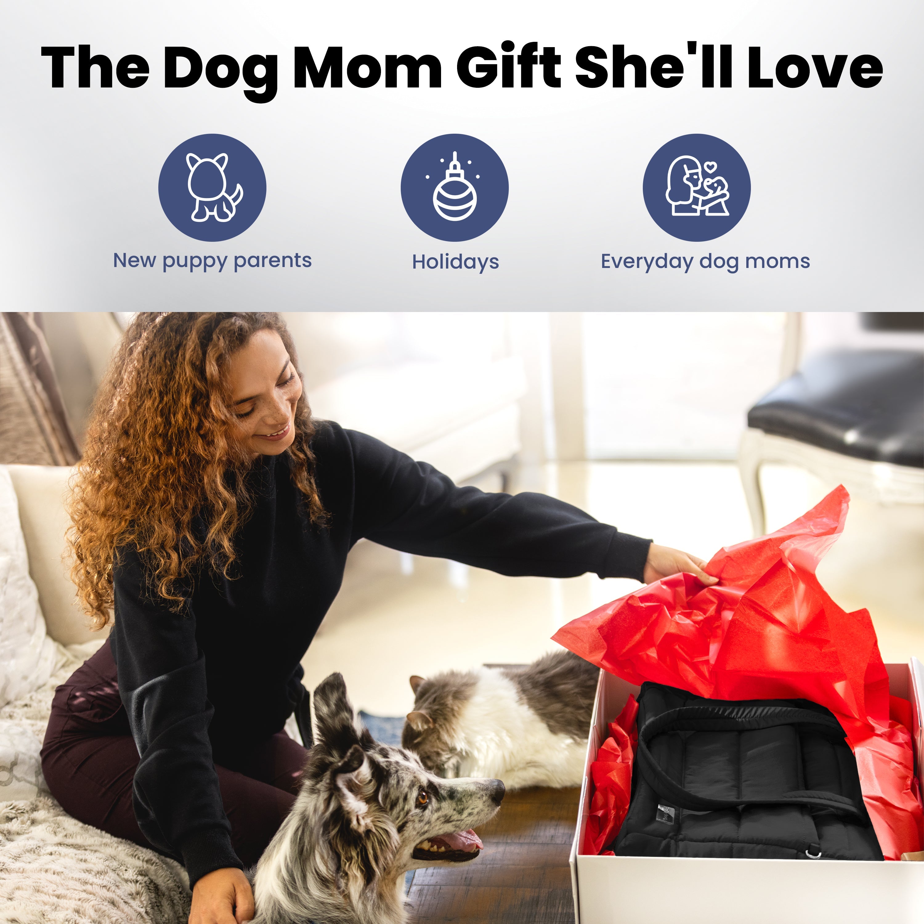 Explore Pet travel accessories