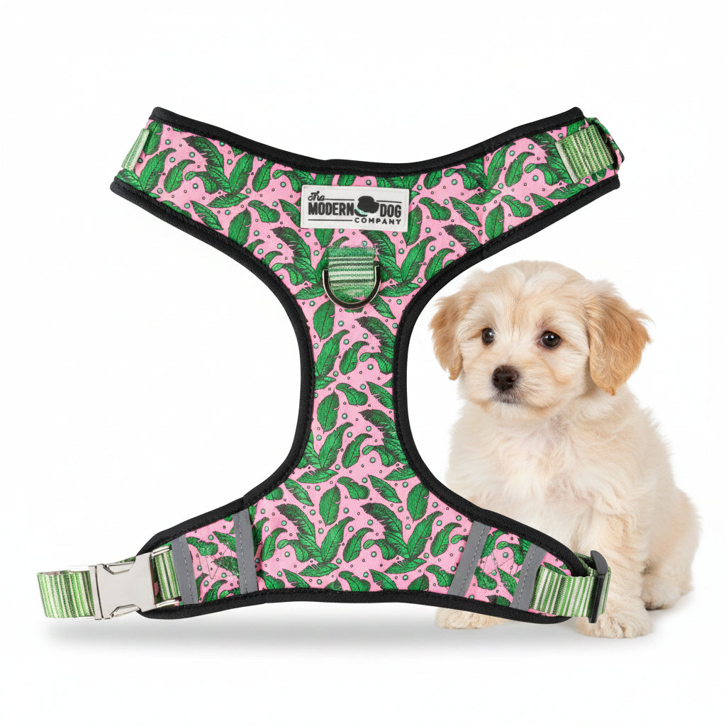 A pink dog harness with a green leaf pattern, black trim, and adjustable straps with a silver metal buckle,