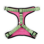 Pink and green dog harness on