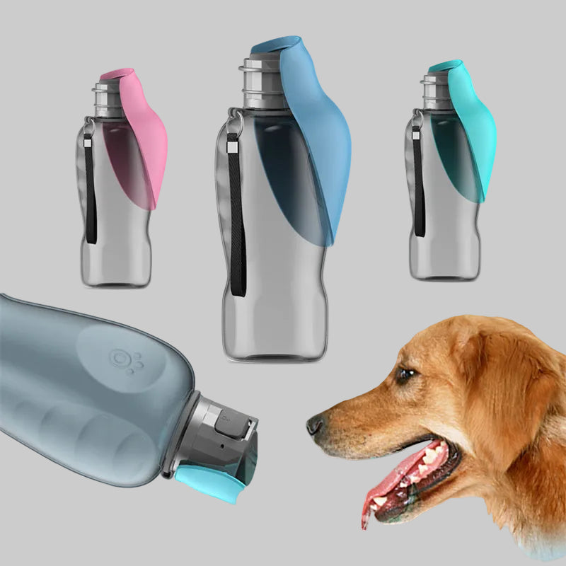 Buy Portable dog water bottle