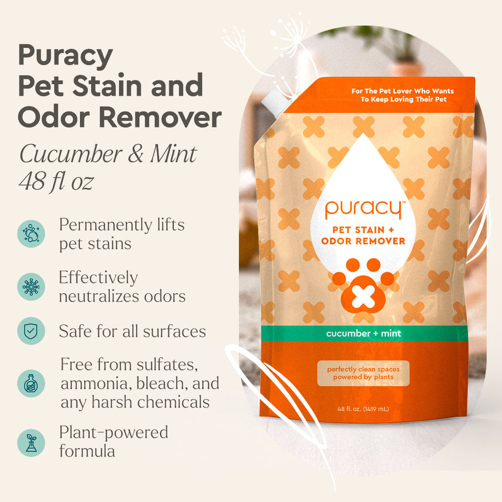 Puracy Pet Stain and Odor Remover packaging with product details on a white background
