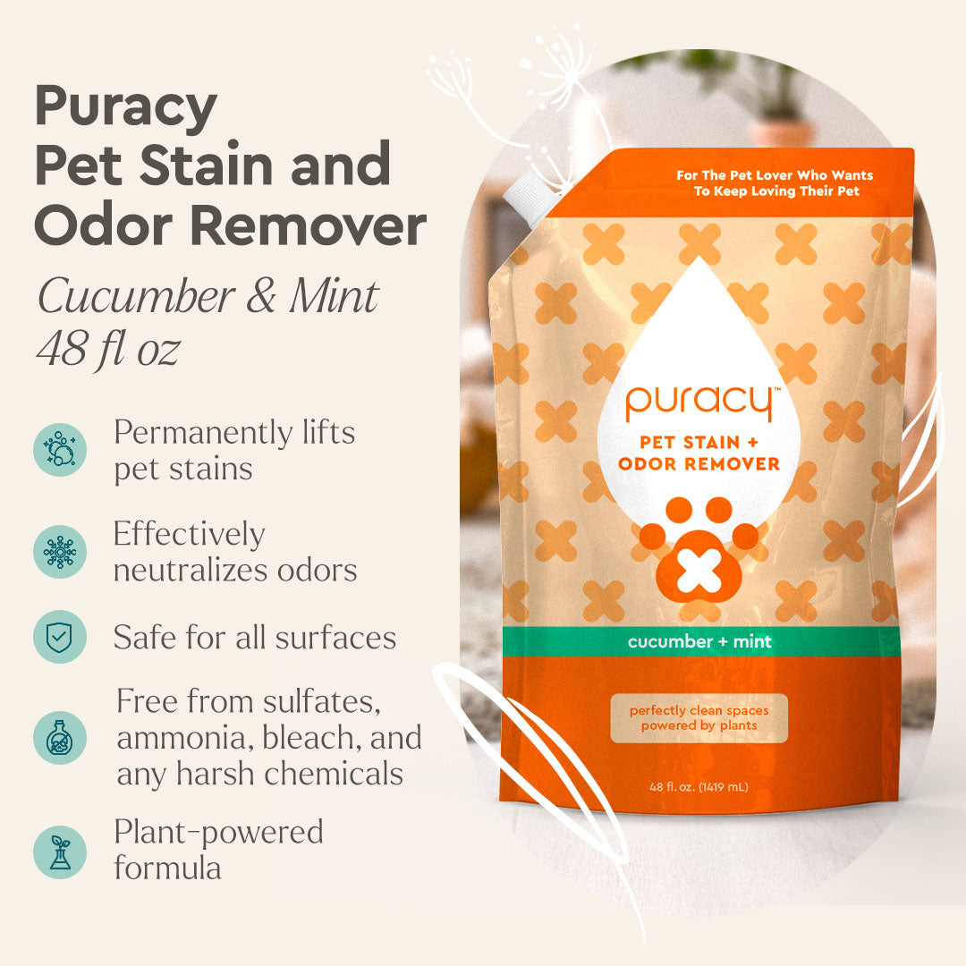Puracy Pet Stain and Odor Remover packaging with product details on a white background