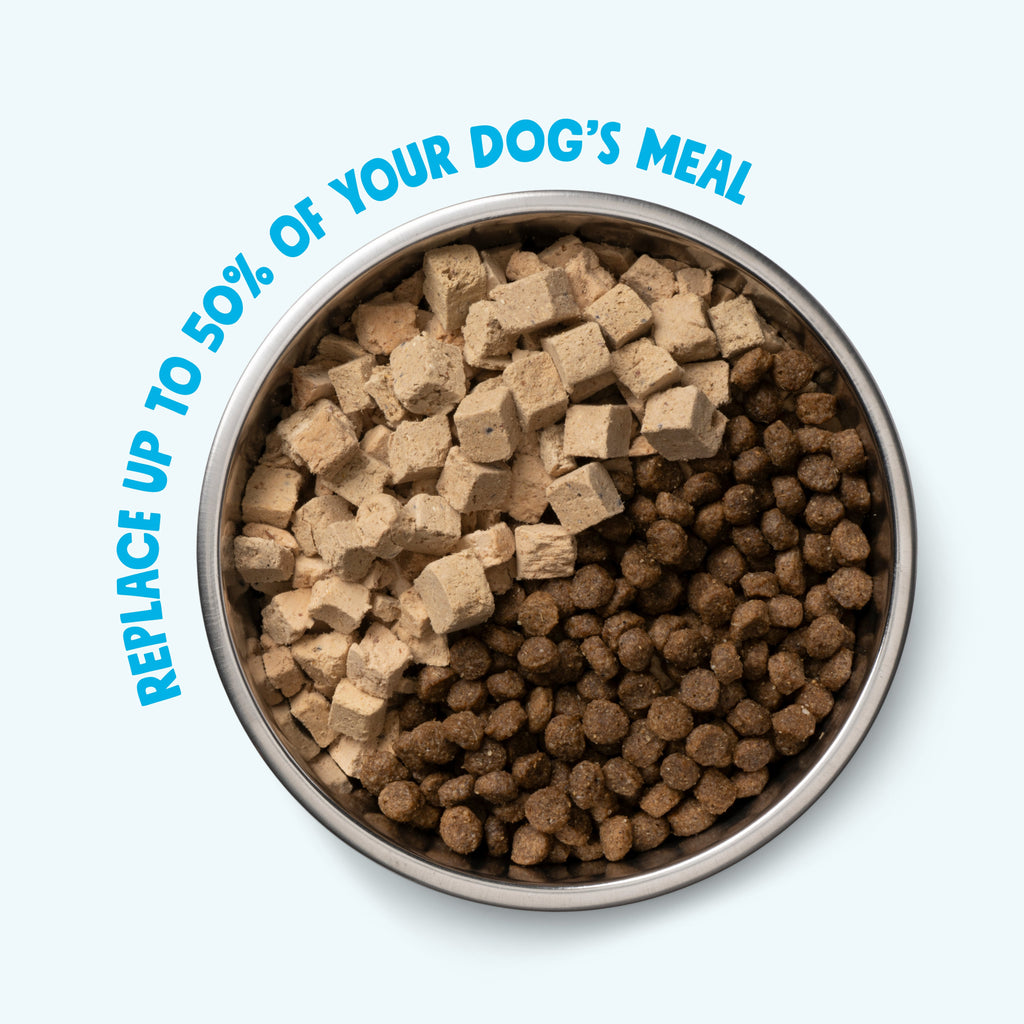 West Paw Rawbiotic Bites™ Chicken Dog Food Topper – 6.4 oz