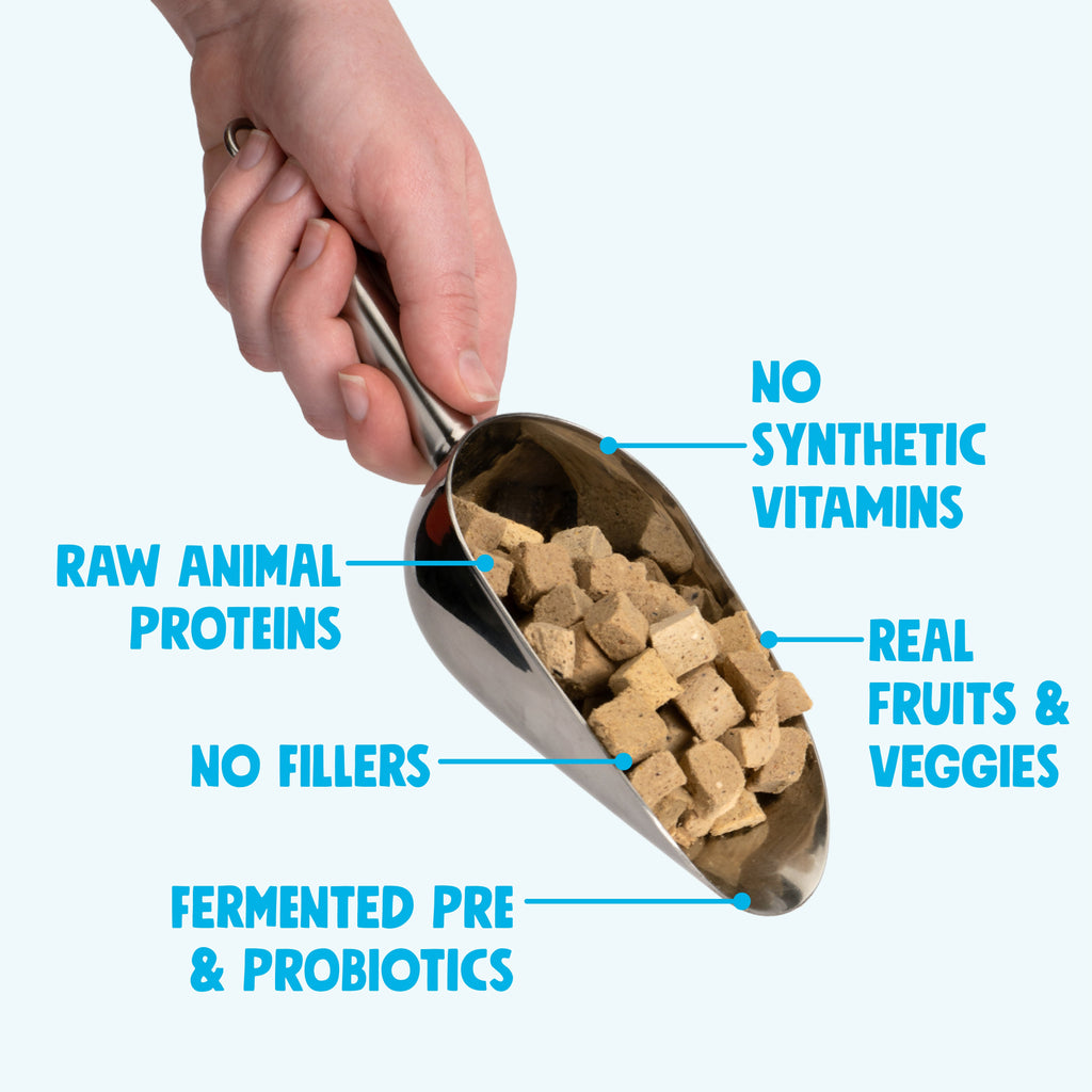 West Paw Rawbiotic Bites™ Chicken Dog Food Topper – 6.4 oz