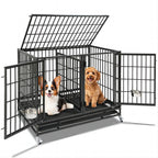 Explore Stackable dog crate