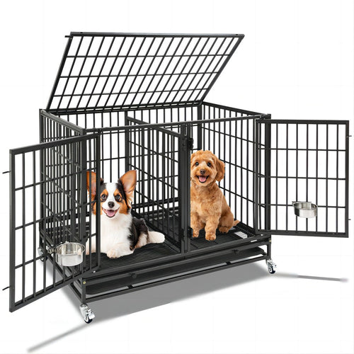 Explore Stackable dog crate