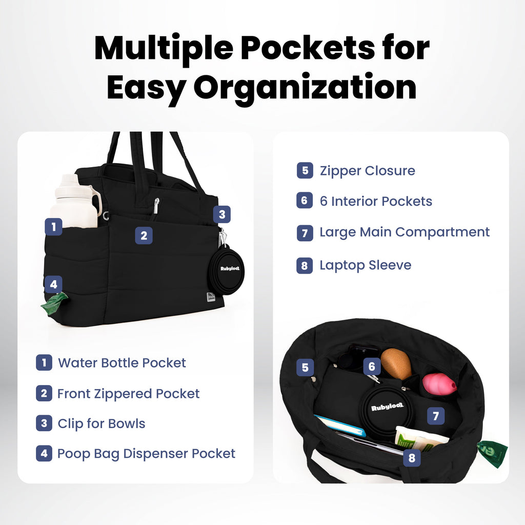 Explore Stylish dog travel bag