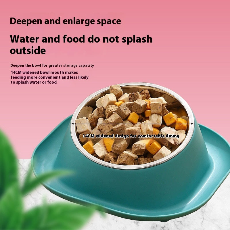 Teal pet bowl with food 